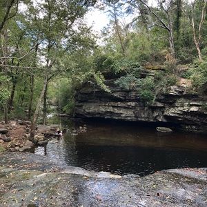 Meet your Posher, Whitney